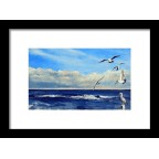 Sea Gulls - Greeting Cards and Prints